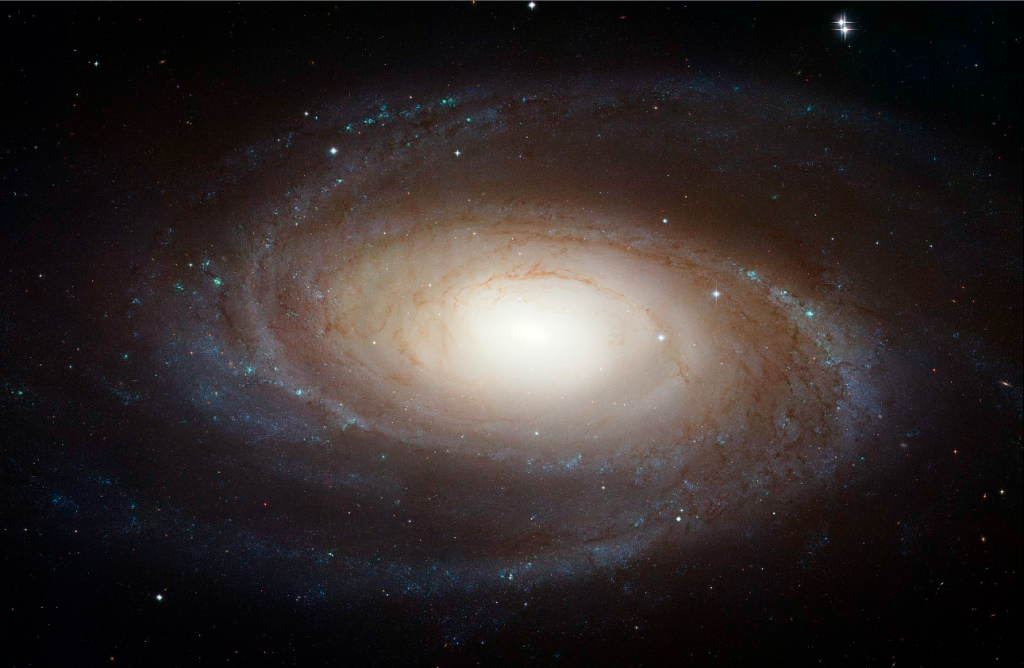 Bode's Galaxy (M81)