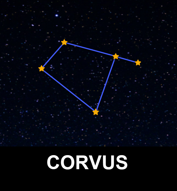 Corvus Constellation-2
